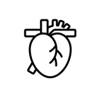心臓血管外科